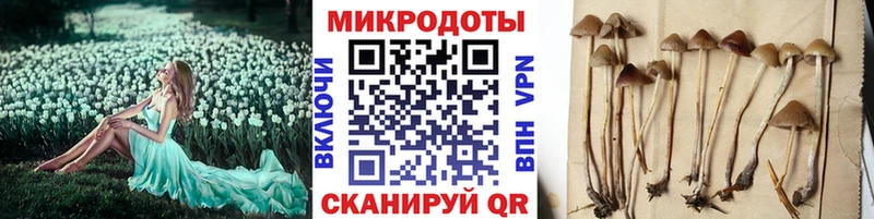 Галлюциногенные грибы прущие грибы Ардатов
